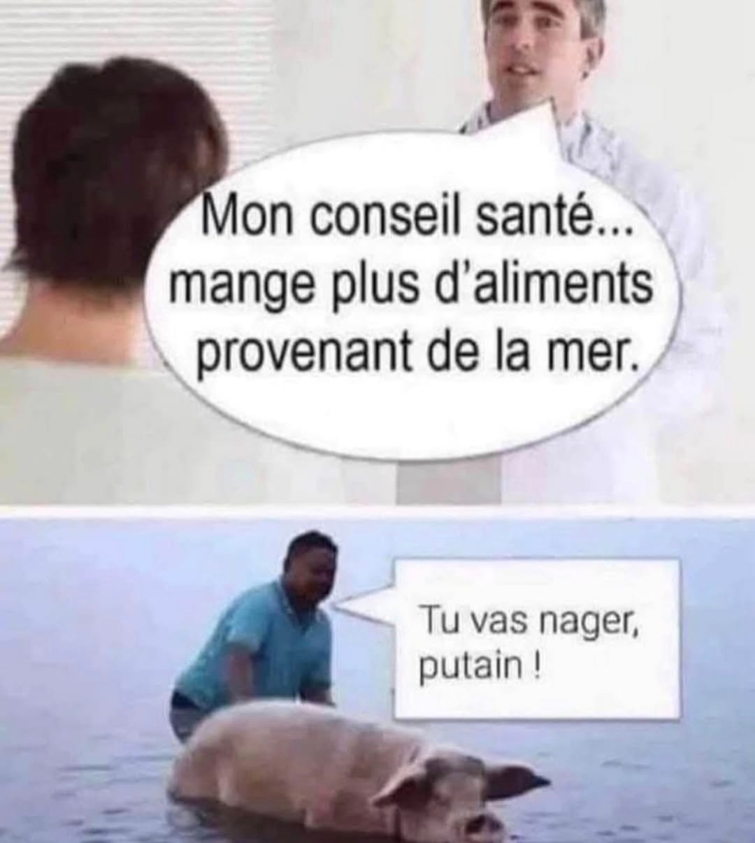 Mange des trucs de la mer qu’il a dit… - meme