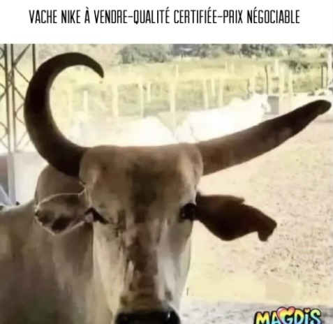 100% de matériaux réutilisés - meme