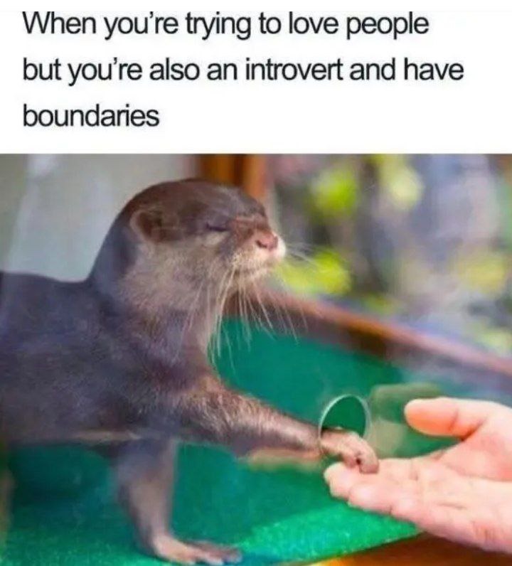 Trying to love people with introvert DLC installed - meme