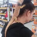 Walmart - Do you think if I disguise my lizard as a hairpiece anyone will notice?