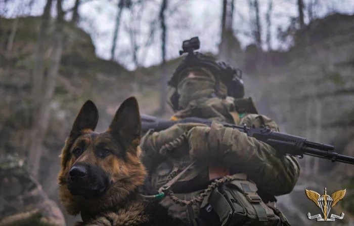 This handsome guy's name is "Rex", and he is activerly helping the soldiers of the 80th Separate Airborne Assault Regimen to defend Ukraine from Russian aggression. - meme