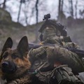 This handsome guy's name is "Rex", and he is activerly helping the soldiers of the 80th Separate Airborne Assault Regimen to defend Ukraine from Russian aggression.