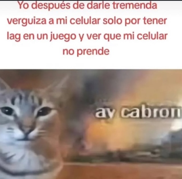 Ay - meme