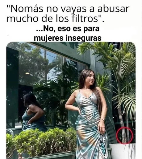 nomás no abuses de los filtros bro, ya pareces otra especie - meme