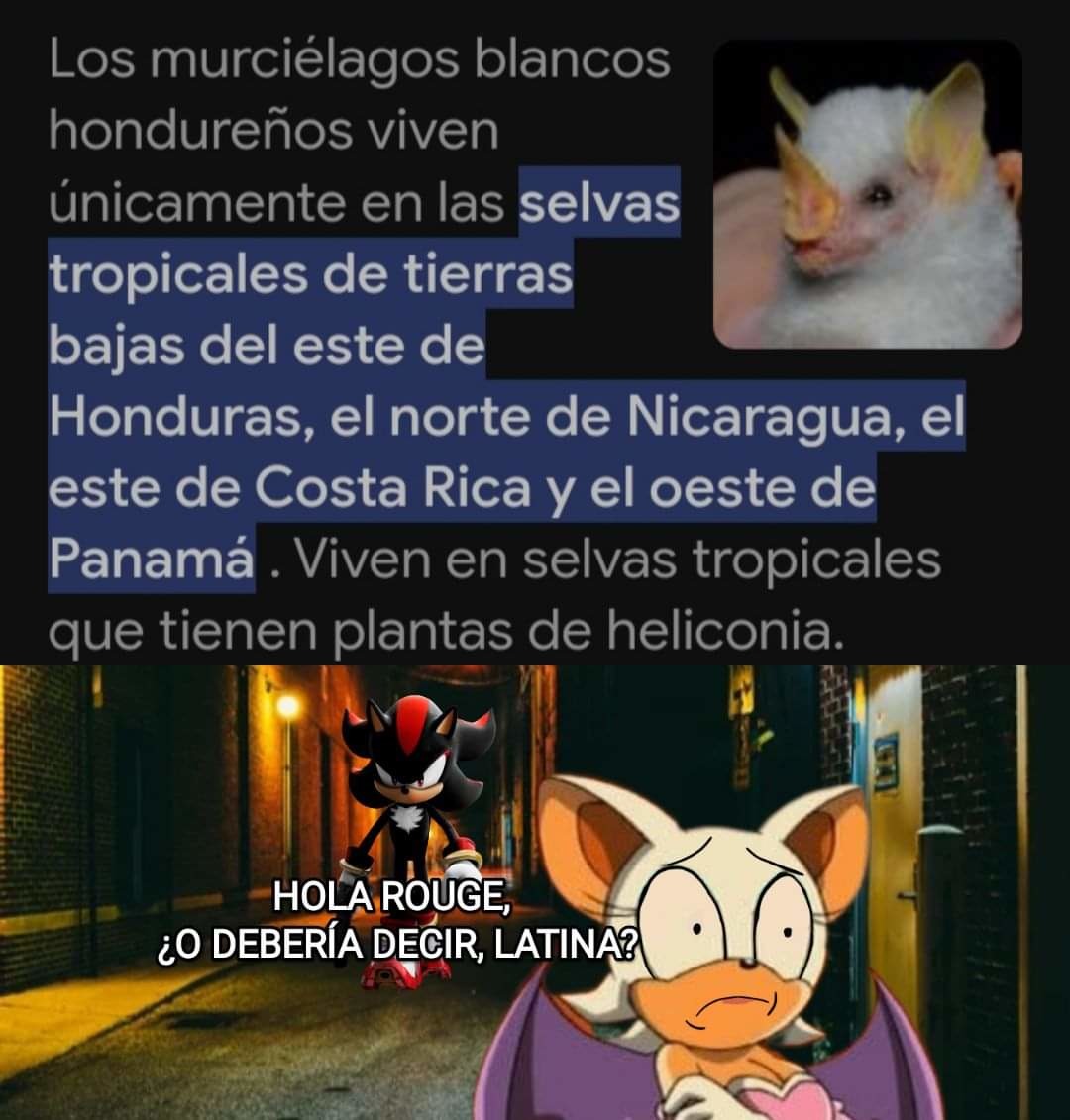 Sharow - meme