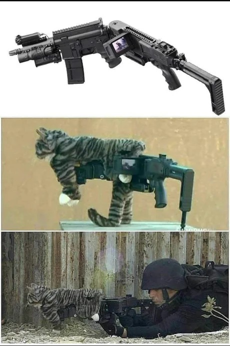 Camuflaje de gato para armas - meme
