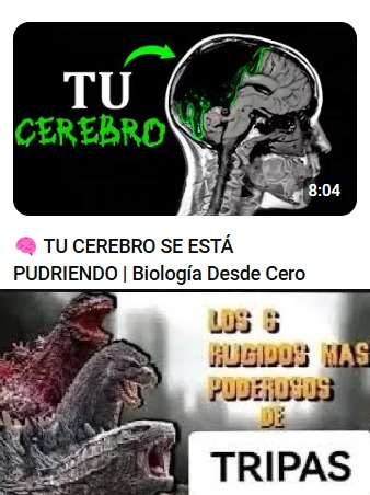 bdc se equivoco un monton - meme