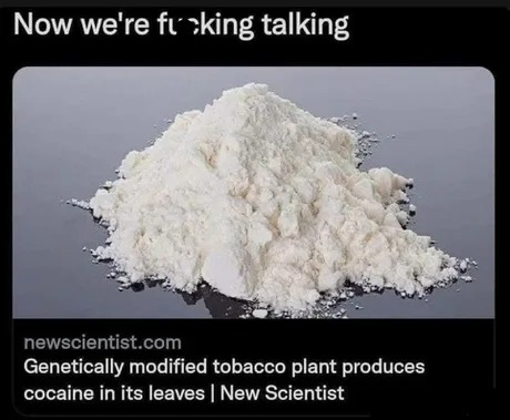 Genetically modified tobacco plant produces cocaine in its leaves - meme