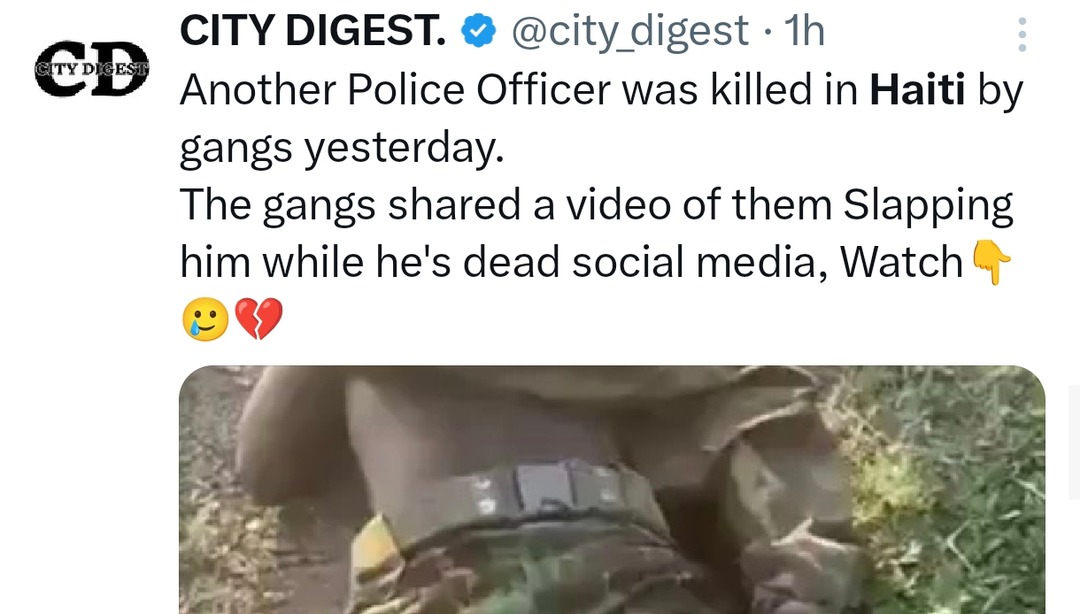 Another cop killed in Haiti gangs posting videos like it's a highlight reel this world is cooked - meme