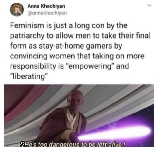 Feminism was just a speedrun strat for gamer dads - meme