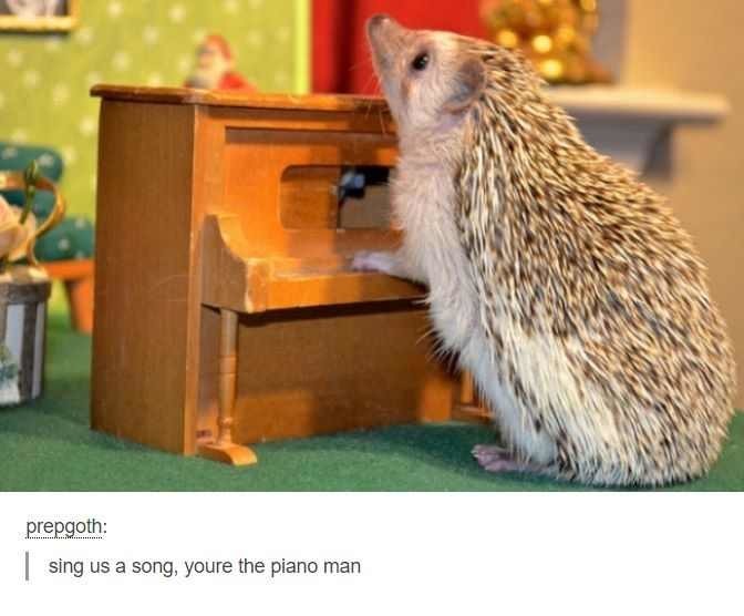 Sanic the pianist - meme