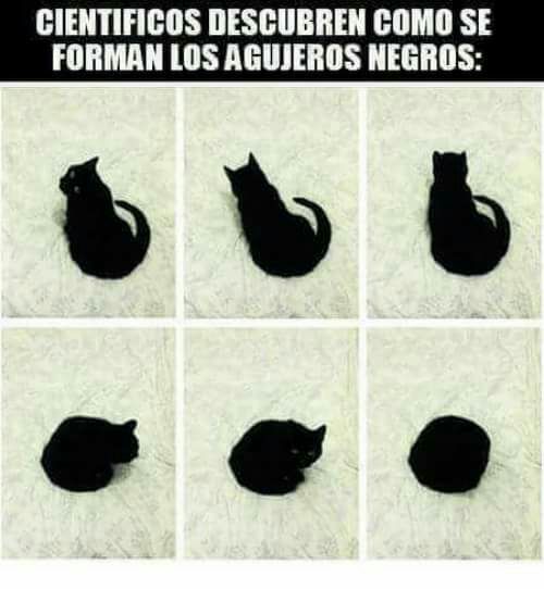 Gato negro =agujero - meme