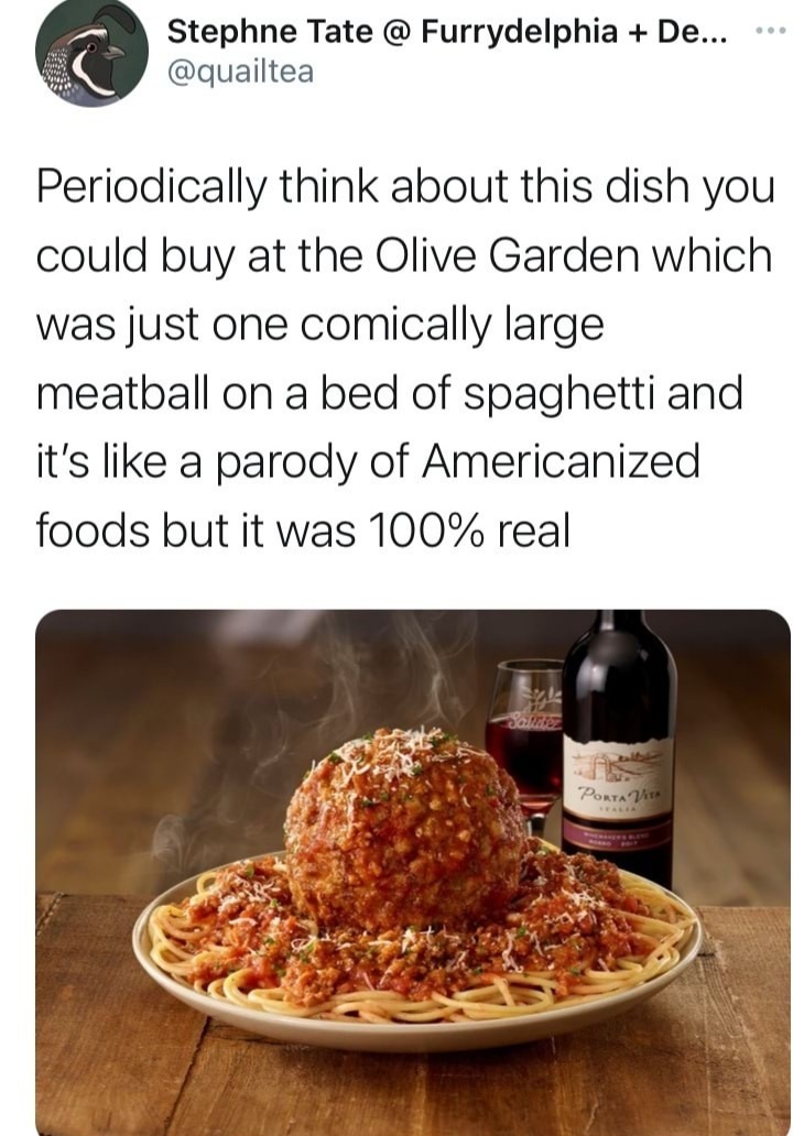 Spaghetti and meatball - meme