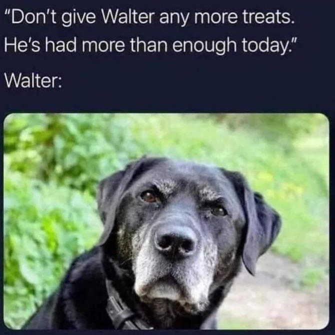 Walter, breakn bad habits is harder than you think - meme