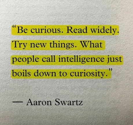 Curiosity is everything - meme