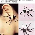 Never mind the spider - is that a real ear??