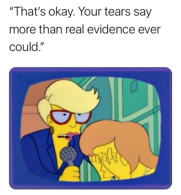 your feelings matter, o blue haired childless cat lady - meme