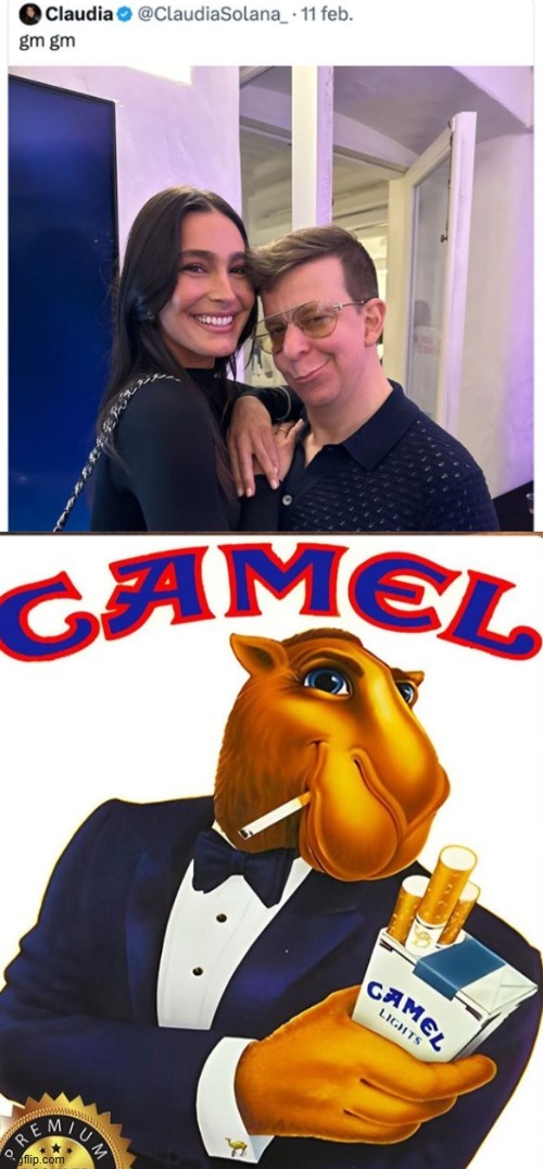 Parecidos razonables con el camello de camel - meme