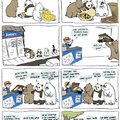Alguien se acuerda de este cómic y porque Panda come carne si es herbívoro