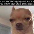 Shipping cost too high
