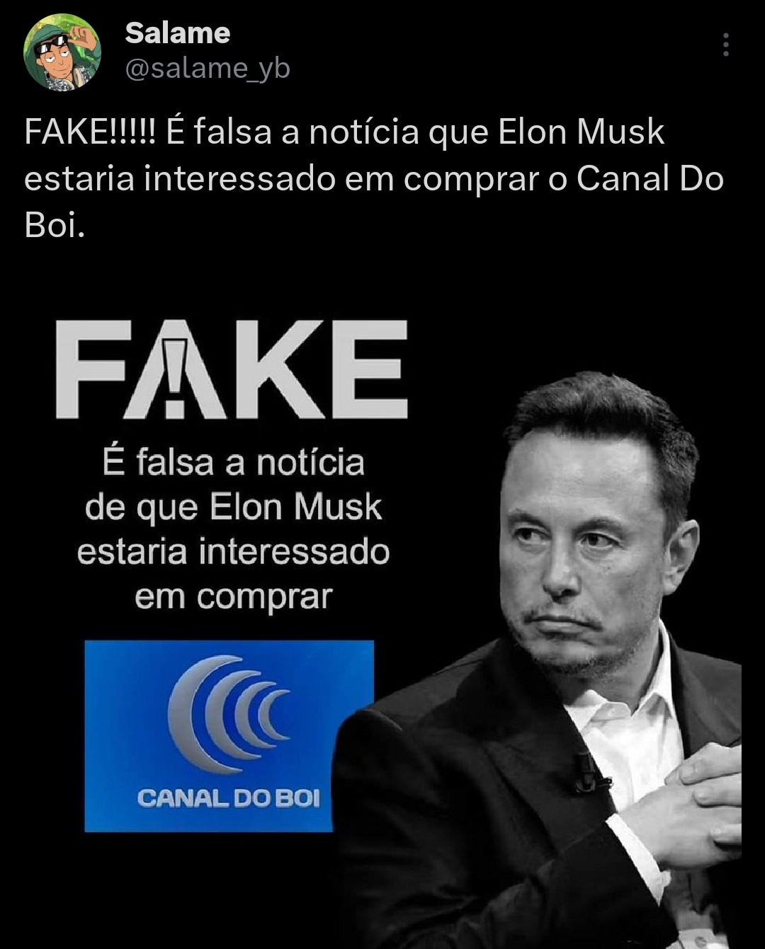 FAKE!!!!! É falsa a notícia que Elon Musk estaria interessado em comprar o Canal Do Boi. - meme