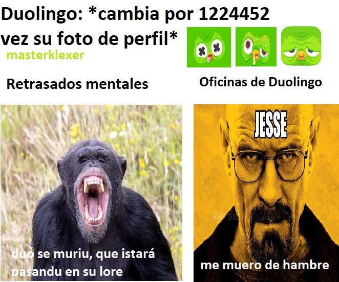 La "mejor" papeada de Duolingo fue un Capitán Obvio :truehistory: - meme