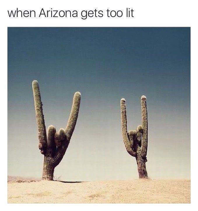 When Arizona gets a little too spicy - meme