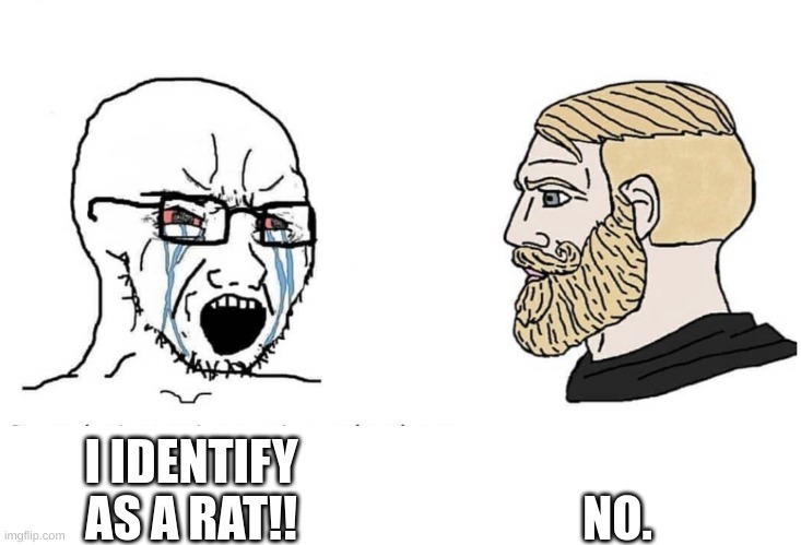 Gender identity meme