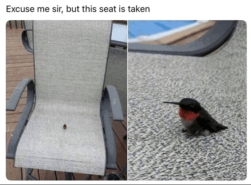 Go find another - meme