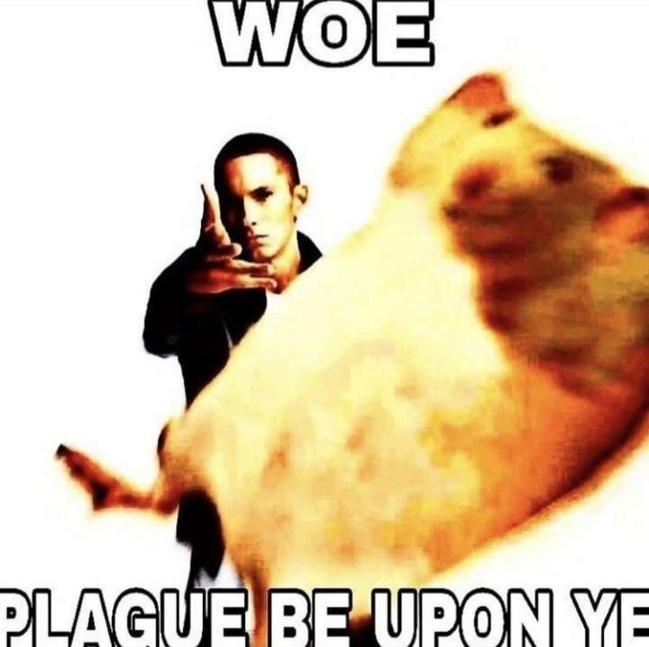 Woe - meme