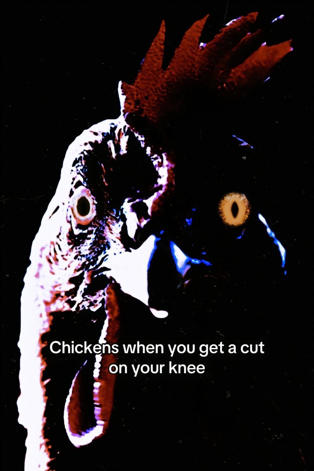Chickens when you bleed a little: it’s over for you - meme