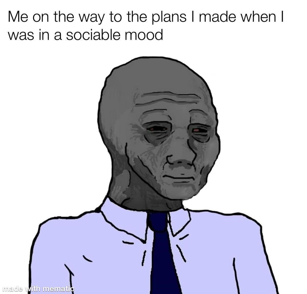 Going to plans you made 3 serotonin spikes ago - meme