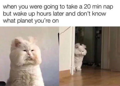 Took a 20-min nap, woke up in another galaxy - meme