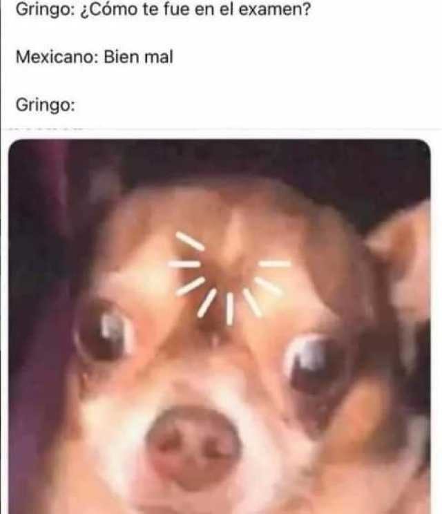 Gringos - meme