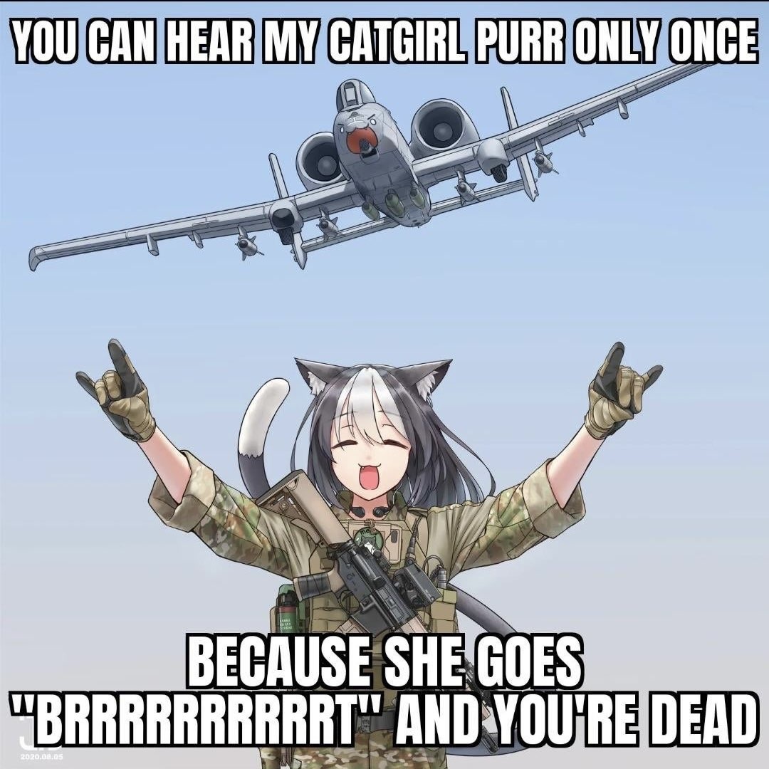 Anime Memes - Once a Catgirl, always a Catgirl.