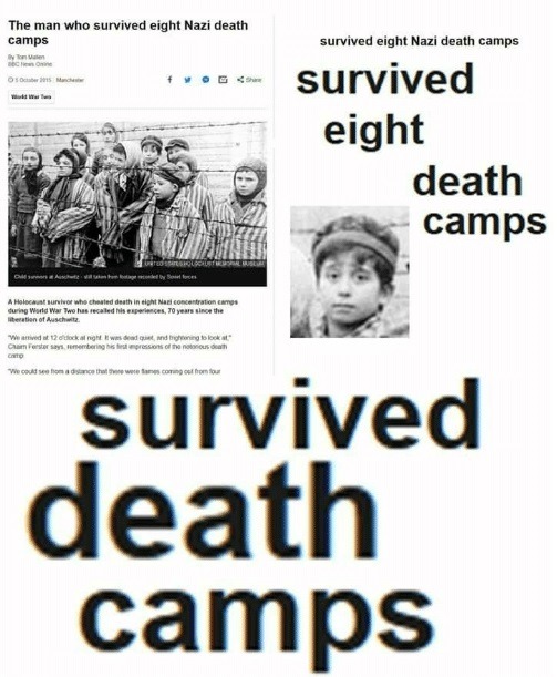 El Holocausto es una mentira - meme