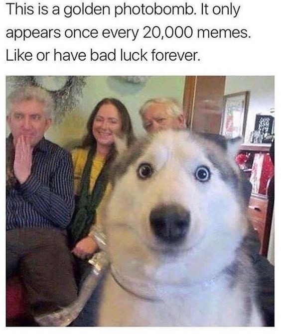 ummm… you don’t have to but you can? - meme