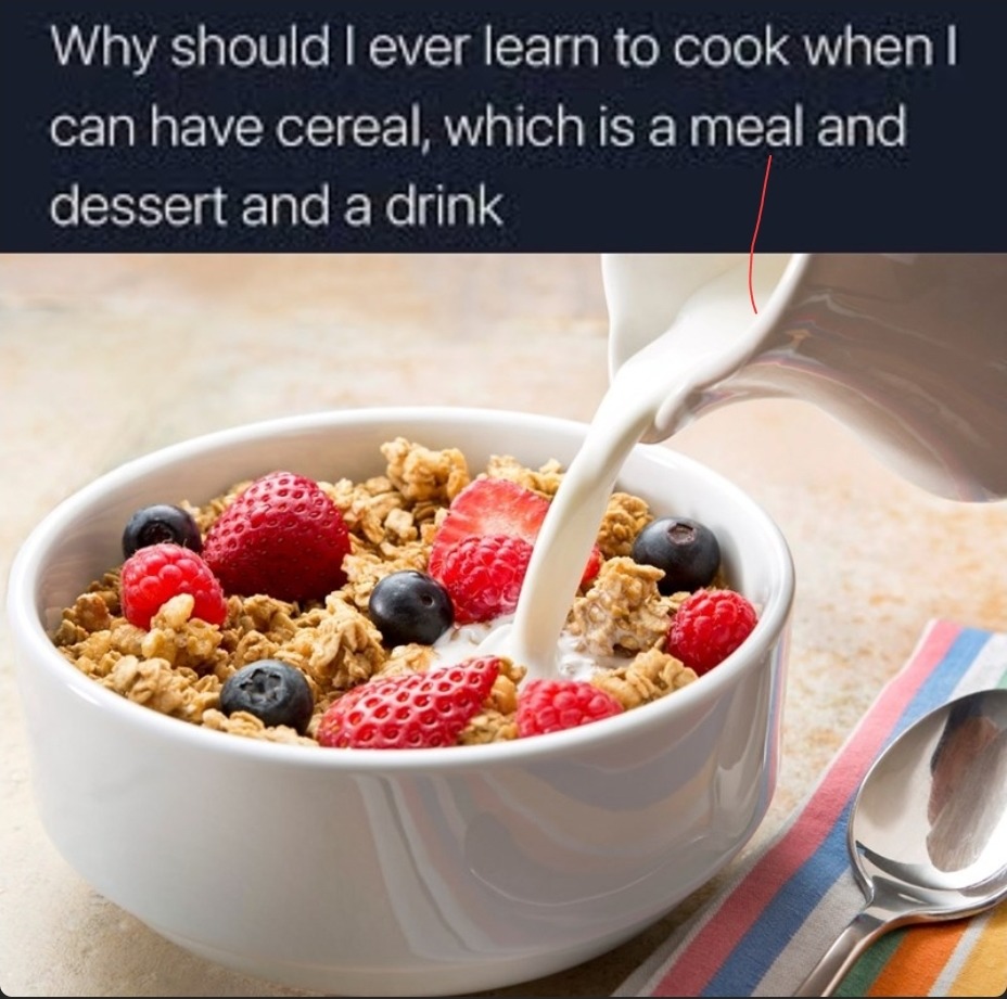 Honestly, it's just cold gruel. - meme