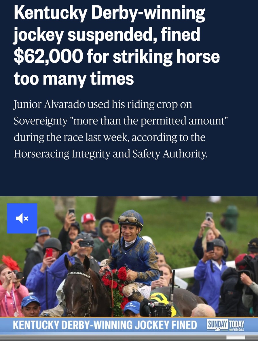 Derby-winning jockey fined 62K for smacking his horse too much - meme