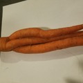 Divine Carrot:   Restores 777 HP when eaten