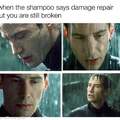 When the shampoo says damage repair but you are still broken