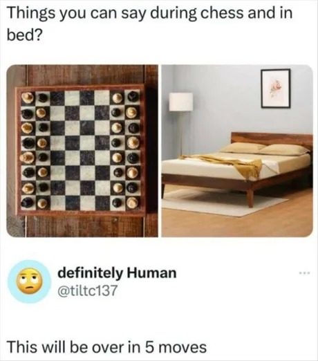 Things you can say during chess and in bed? - meme