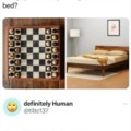Things you can say during chess and in bed?