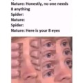 Nature and spiders