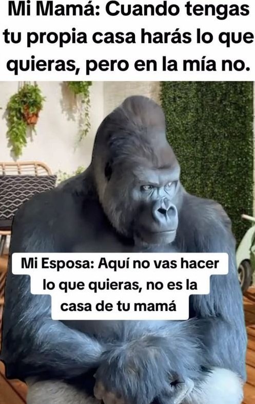 nunca se pasará - meme