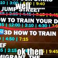 how to train your what?