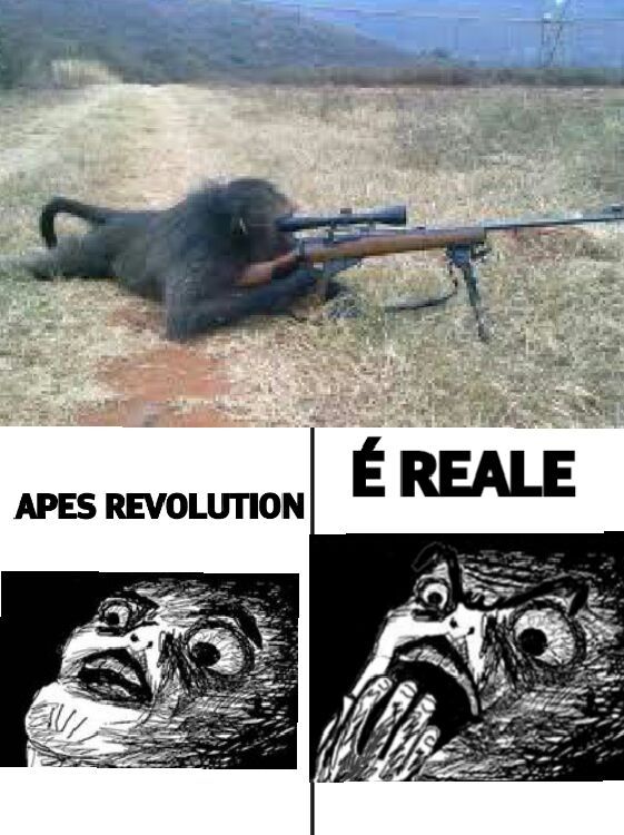 APES REVOLUTION - meme