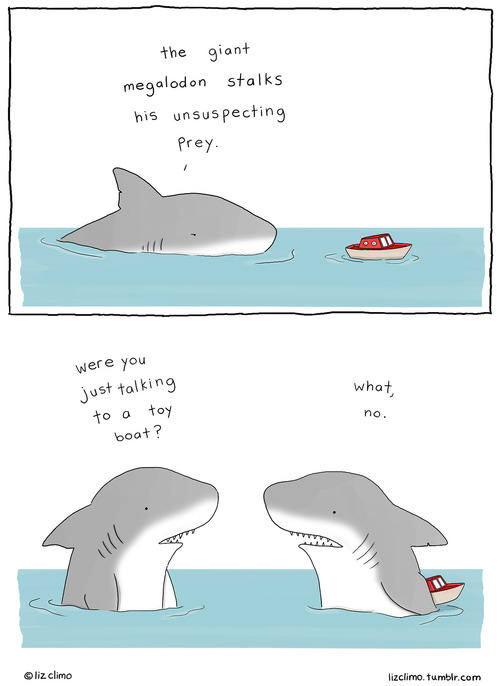 Silly sharks - meme