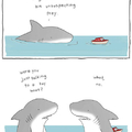 Silly sharks