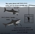 How Shark's really think